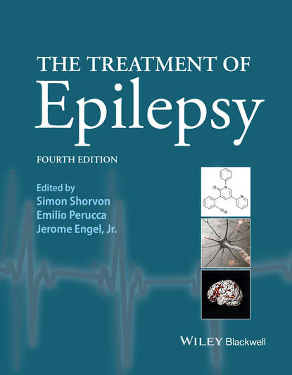

The Treatment of Epilepsy