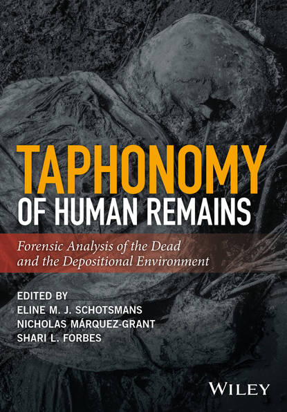 

Taphonomy of Human Remains