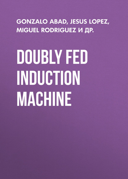 Gonzalo Abad — Doubly Fed Induction Machine