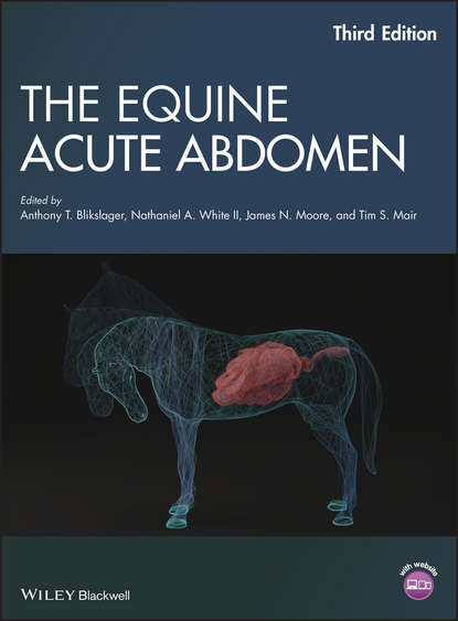 

The Equine Acute Abdomen