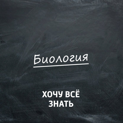 Биология. Почему мы зеваем, моргаем и потягиваемся?