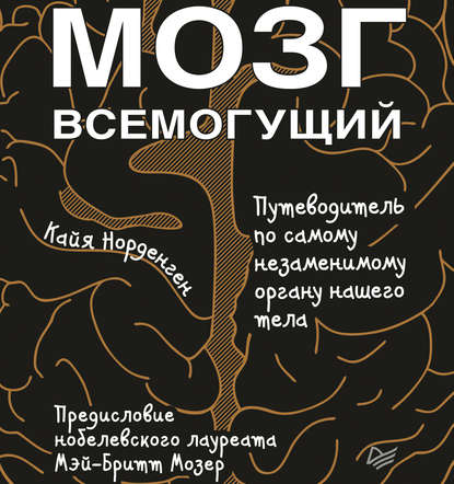 Кайя Норденген — Мозг всемогущий. Путеводитель по самому незаменимому органу нашего тела