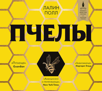 Пчёлы