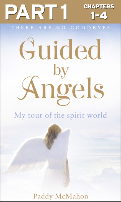 Paddy McMahon — Guided By Angels: Part 1 of 3: There Are No Goodbyes, My Tour of the Spirit World