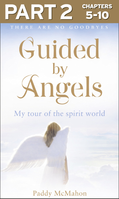 Paddy McMahon — Guided By Angels: Part 2 of 3: There Are No Goodbyes, My Tour of the Spirit World