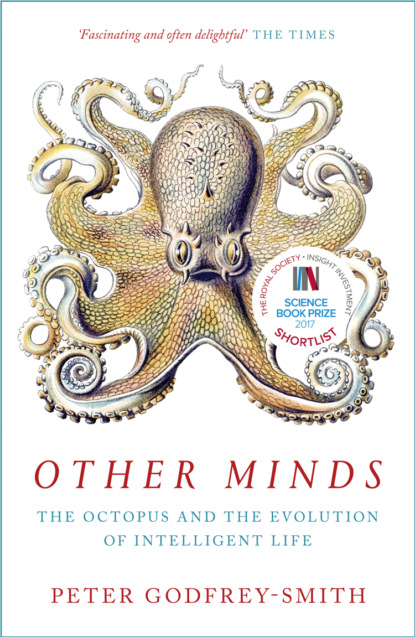 Питер Годфри-Смит — Other Minds: The Octopus and the Evolution of Intelligent Life