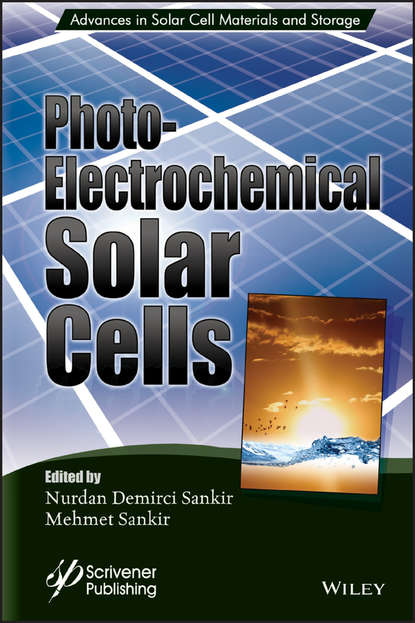 Mehmet Sankir — Photoelectricochemical Solar Cells