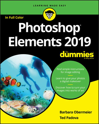 Barbara Obermeier — Photoshop Elements 2019 For Dummies