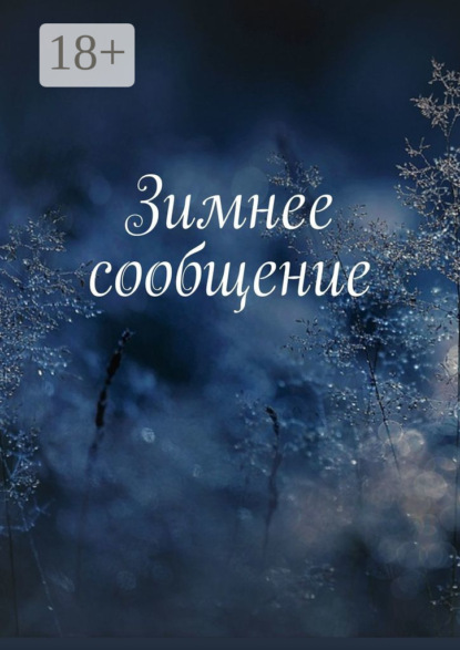 

Зимнее сообщение