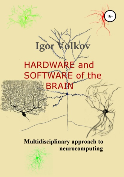 

Hardware and software of the brain