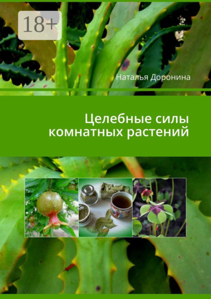 

Целебные силы комнатных растений