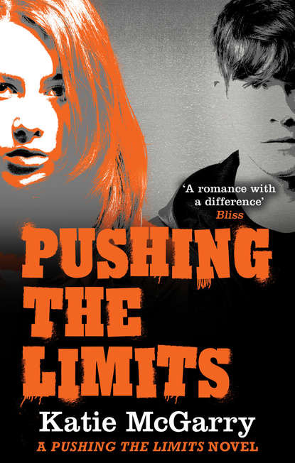 Katie McGarry — Pushing the Limits