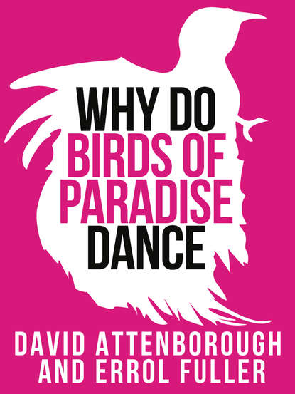 Sir Attenborough David — David Attenborough’s Why Do Birds of Paradise Dance