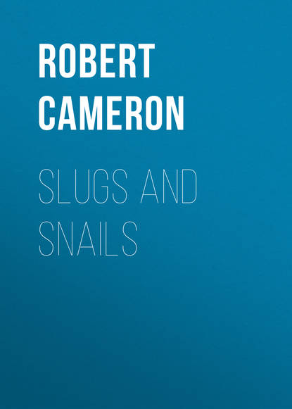 Slugs and Snails