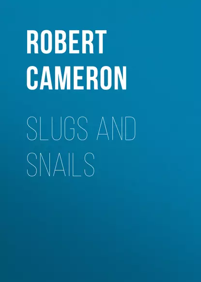 Slugs and Snails