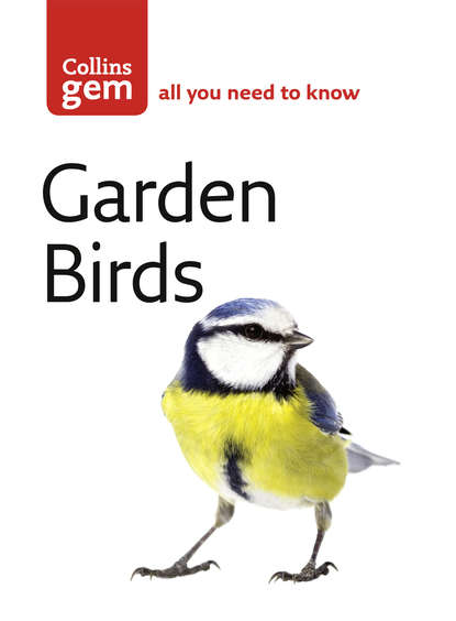 Garden Birds
