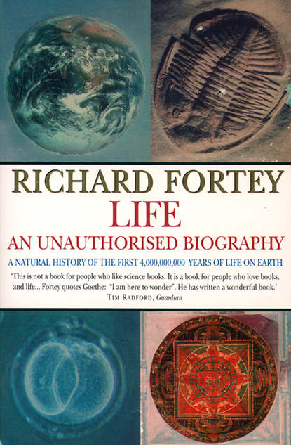 Life: an Unauthorized Biography