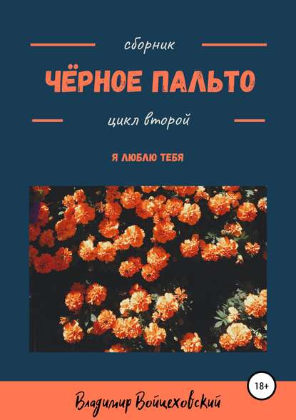 Владимир Александрович Смирнов — Чёрное пальто. Я люблю тебя. Сборник стихотворений. Цикл второй