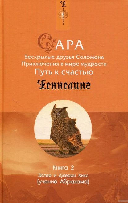 Эстер и Джерри Хикс — Сара. Книга 2. Бескрылые друзья Соломона. Приключения в мире мудрости. Путь к счастью