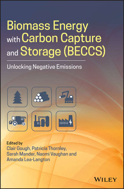 Sarah Mander — Biomass Energy with Carbon Capture and Storage (BECCS)