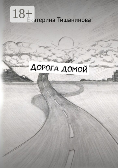 

Дорога домой