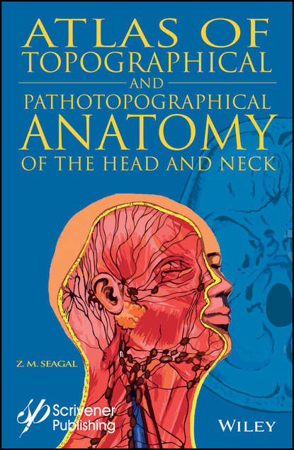 Группа авторов — Atlas of Topographical and Pathotopographical Anatomy of the Head and Neck