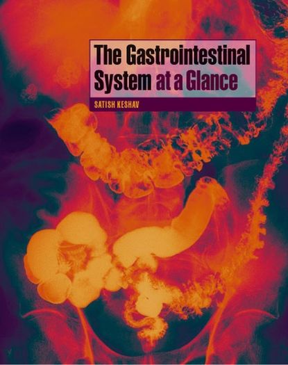 The Gastrointestinal System at a Glance