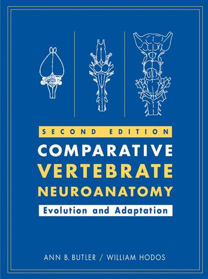 William Hodos — Comparative Vertebrate Neuroanatomy