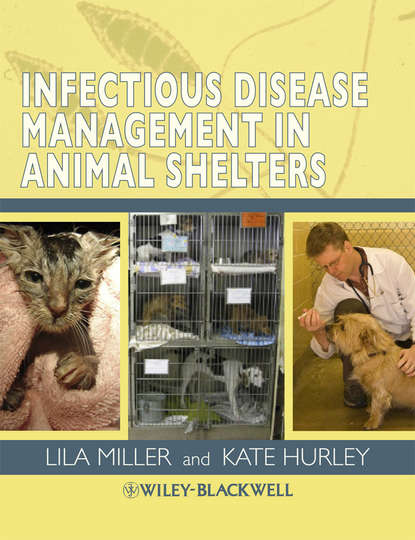 Kate Hurley — Infectious Disease Management in Animal Shelters