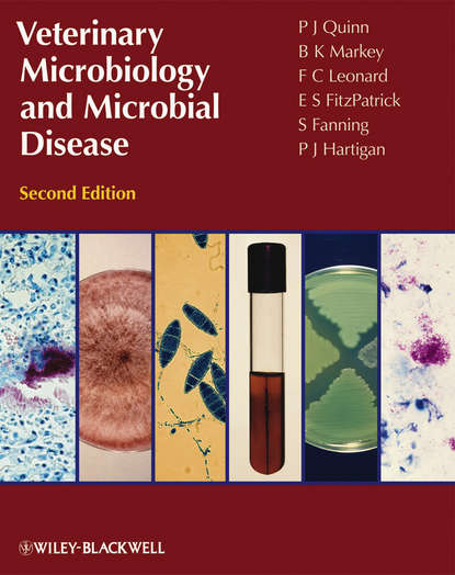 P. Hartigan — Veterinary Microbiology and Microbial Disease