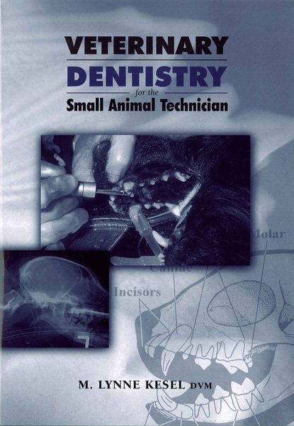 Группа авторов — Veterinary Dentistry for the Small Animal Technician