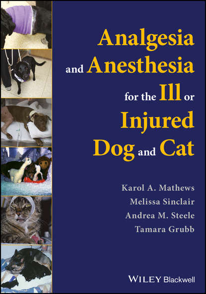 Melissa Sinclair — Analgesia and Anesthesia for the Ill or Injured Dog and Cat