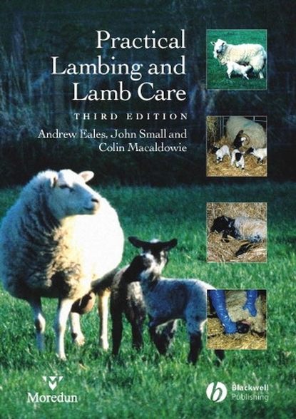 Andrew Eales — Practical Lambing and Lamb Care