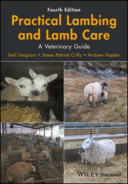 Neil Sargison — Practical Lambing and Lamb Care