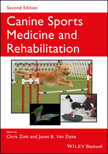 Chris Zink — Canine Sports Medicine and Rehabilitation