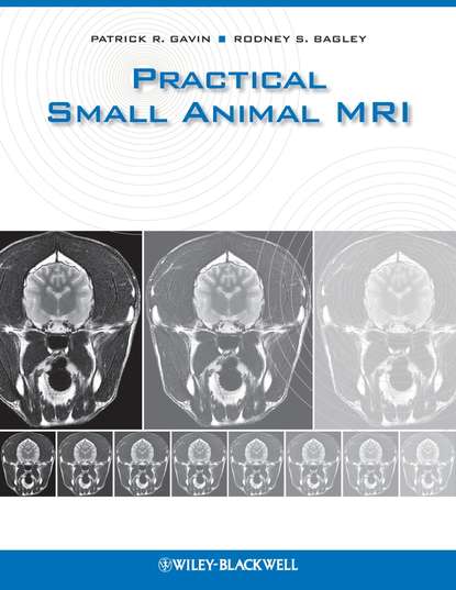 Patrick Gavin R. — Practical Small Animal MRI