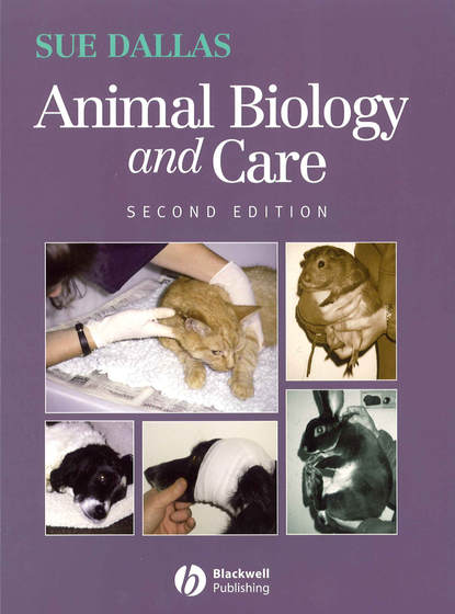 Группа авторов — Animal Biology and Care