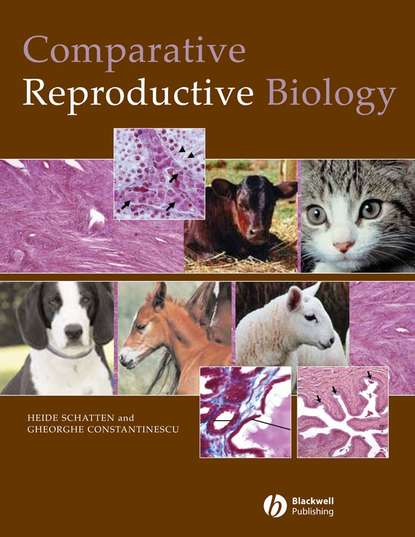 Heide Schatten — Comparative Reproductive Biology