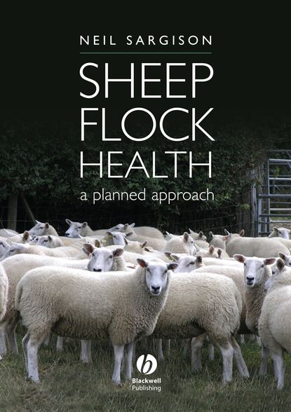 Группа авторов — Sheep Flock Health