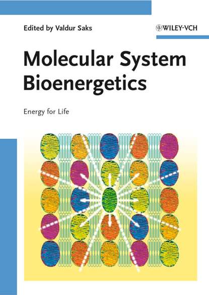 Группа авторов — Molecular System Bioenergetics