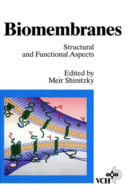 Группа авторов — Biomembranes, Biomembranes