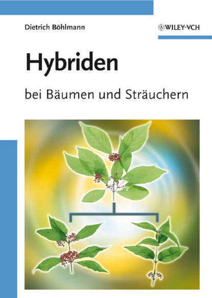 

Hybriden