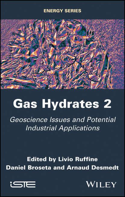 Daniel Broseta — Gas Hydrates 2