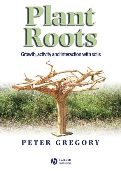 Peter Gregory J. — Plant Roots