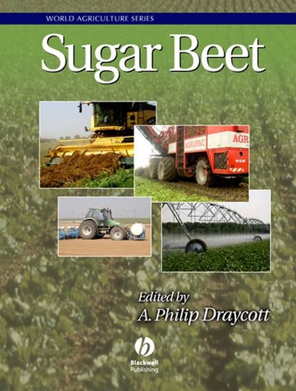 A. Draycott Philip — Sugar Beet