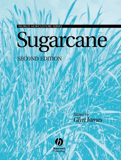 

Sugarcane