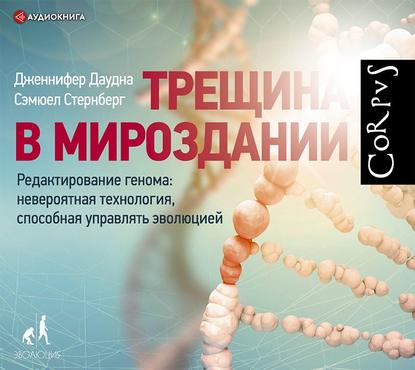 Трещина в мироздании