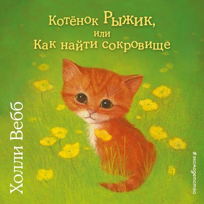 Котёнок Рыжик, или Как найти сокровище