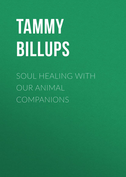 Soul Healing with Our Animal Companions