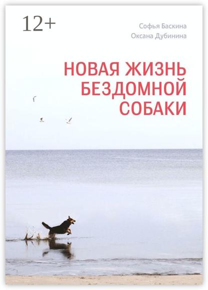 Новая жизнь бездомной собаки